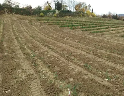 Livellamento terreno